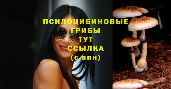 Альфа ПВП Верея