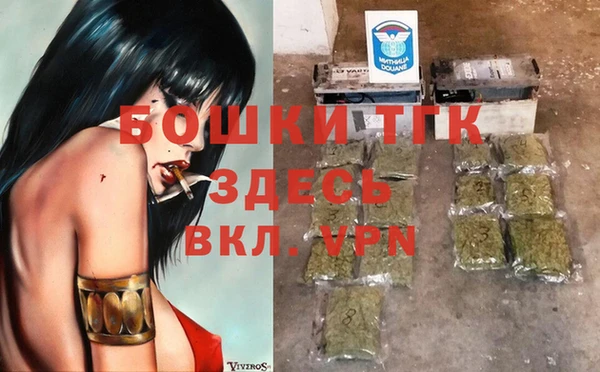 Альфа ПВП Верея