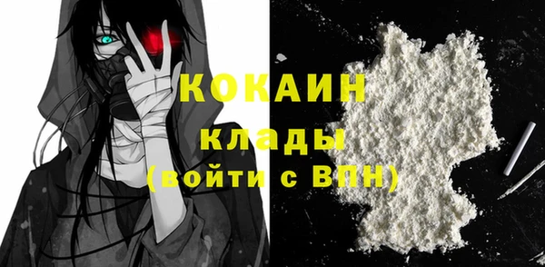 Альфа ПВП Верея