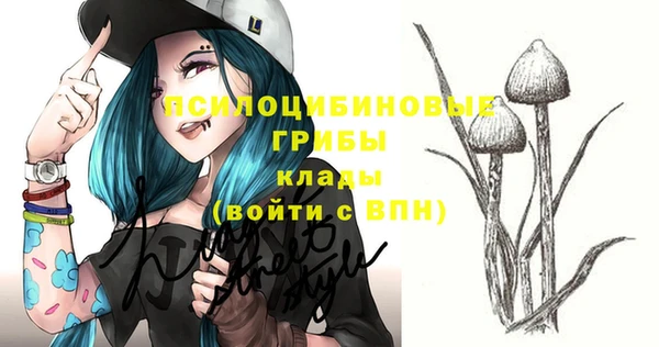 трава Верхнеуральск